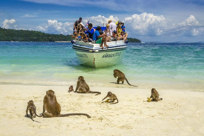 Discover Maya Bay at Dawn: Avoid the Phi Phi Crowds - Maya Bay in the morning: sand time, restoration, and the real crowd factor