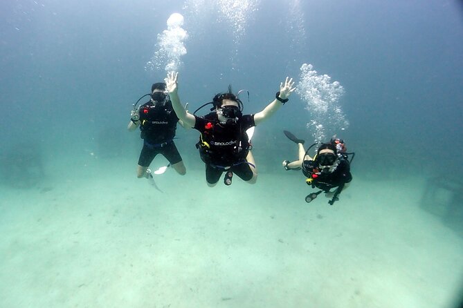 Discover Scuba Diving 3 Dives Racha Islands - Key things I’d plan around before you go
