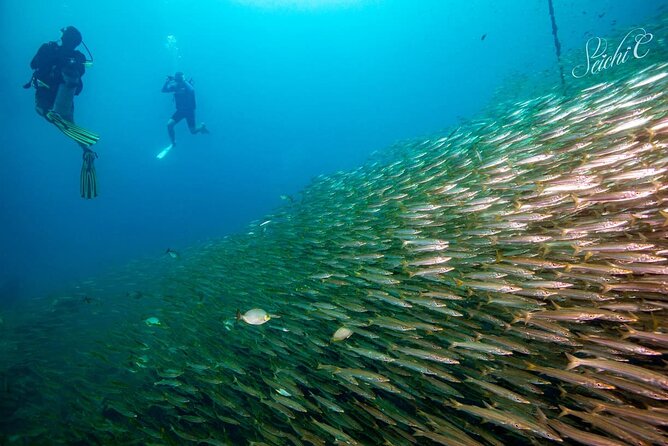 Discover Scuba Diving 3 Dives Racha Islands - Racha Islands, Homerun Bay, and Siam Bay: what you’re really signing up for