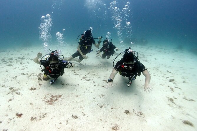 Discover Scuba Diving 3 Dives Racha Islands - Your three underwater sessions: how the instruction actually supports you