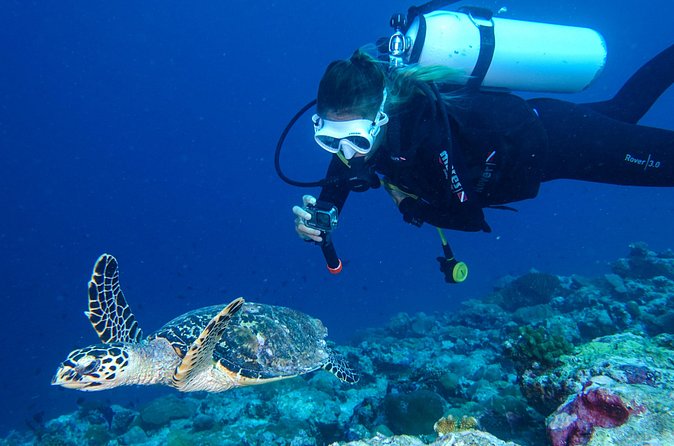Discover Scuba Diving in Koh Lanta, Thailand - Before you go in: how the instruction sets you up