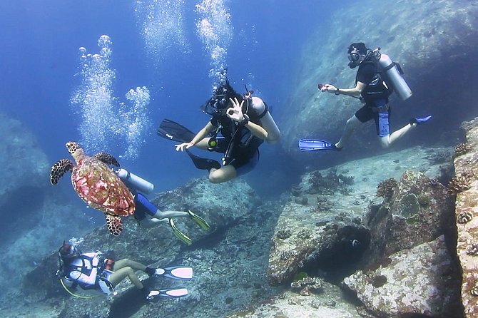 Discover Scuba Diving in Koh Lanta, Thailand - Stop-by-stop: what each reef time is for