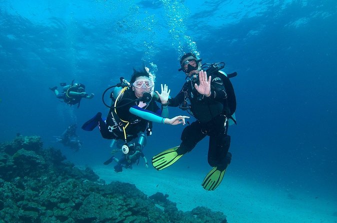 Discover Scuba Diving in Koh Lanta, Thailand - What’s included, and what you should budget for
