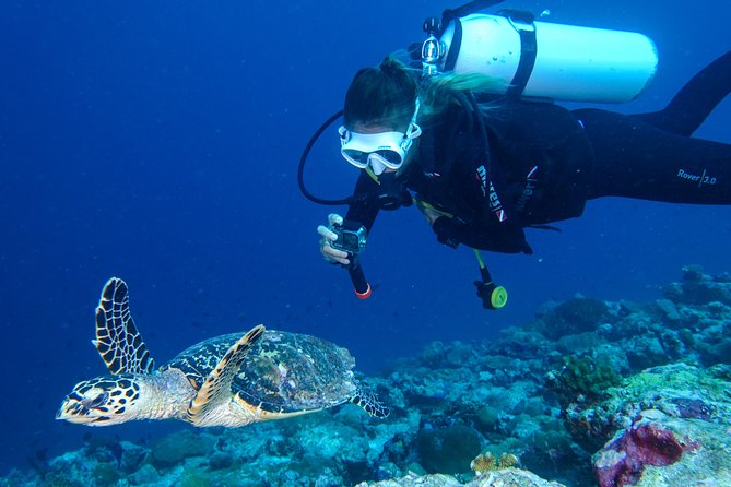 Discover Scuba Diving in Koh Lanta, Thailand - A speedboat day built around three underwater locations