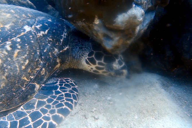 Discover Scuba Diving, try dive for beginners ( Start at Ko Kut) - Pickup and meeting point: how to avoid the one big failure mode