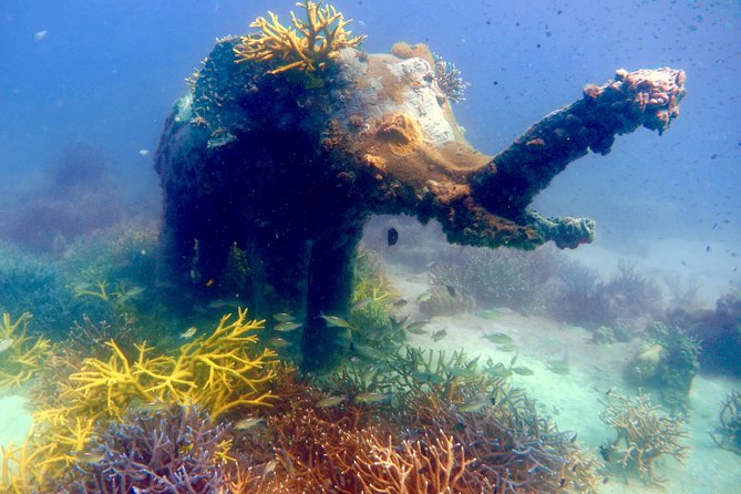 Discover Scuba Diving, try dive for beginners ( Start at Ko Kut) - Where it starts in Ko Kut, and why the morning pace helps