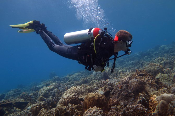 Discover Scuba diving, try diving for beginners (starts from Koh Chang) - Key Points You Will Care About
