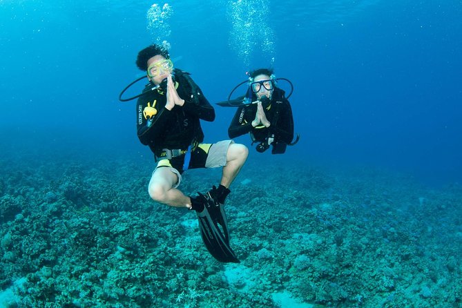 Discover Scuba diving, try diving for beginners (starts from Koh Chang) - Meeting bbdivers at 8:00 am: Gear Fitting and First-Time Paperwork