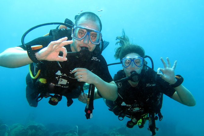 Discover Scuba diving, try diving for beginners (starts from Koh Chang) - Where You Go Around Koh Chang, and Why the Park Fee Matters