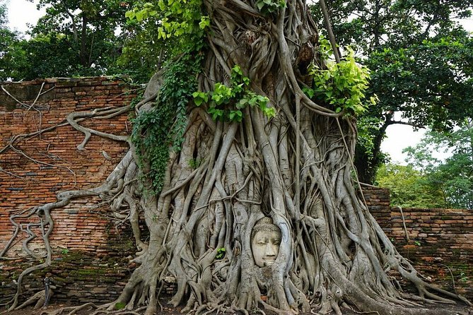 Discover UNESCO World Heritage Sites - Ayutthaya to Khao Yai National Park - Wat Phra Si Sanphet: the royal temple vibe and the chedis you will remember