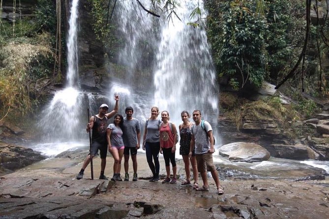 Doi Inthanon Day Trip:Twin Pagodas,Soft Hiking,Coffee Plantation - Kew Mae Pan soft trek, rice fields and a higher-elevation stroll