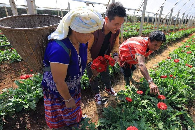 Doi Inthanon Discovery Tour: Waterfalls, Villages & Highest Peak - Chiang Mai to Doi Inthanon: the idea, in plain terms