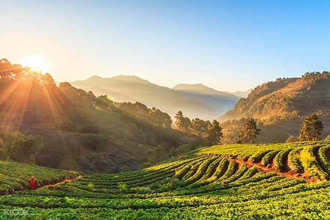 Doi Inthanon Discovery Tour: Waterfalls, Villages & Highest Peak - What you get included, and what you still need to handle