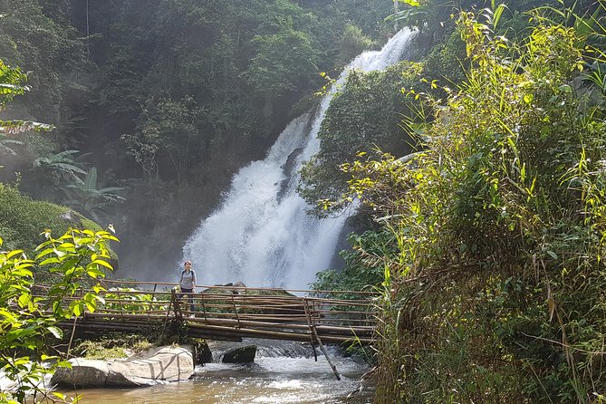 Doi inthanon National Park + 2Hour Fantastic Trekking with Lunch - Trekking in the jungle for 2 hours: the sweet spot