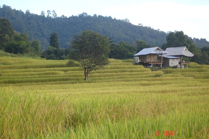 Doi Inthanon National park and 2 hours hiking with private tour - From Thai market vibes to Wachiratan Waterfall