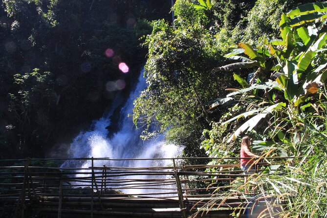 Doi Inthanon National park and 2 hours hiking with private tour - The 2-hour downhill rainforest hike to Pha Dok Siew