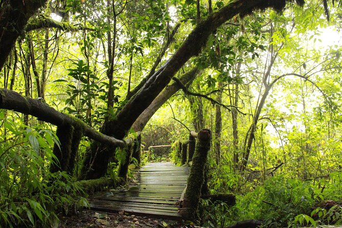Doi Inthanon National park and 2 hours hiking with private tour - Price and value: what $100.43 covers, and what to plan for