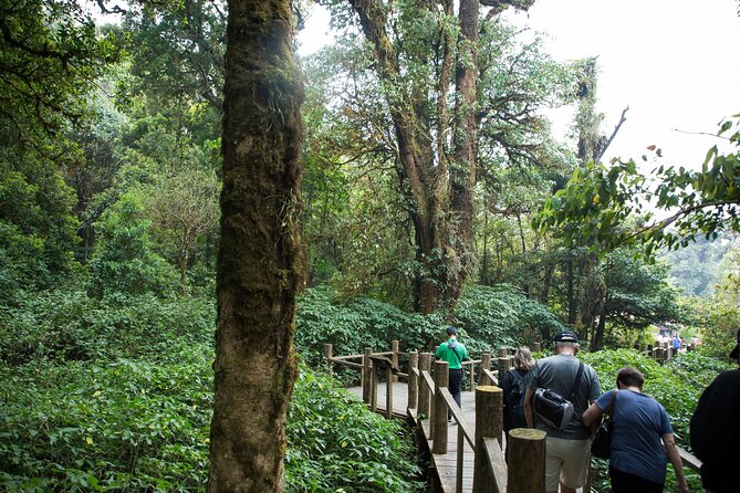 Doi Inthanon National Park Eco-Friendly Full Day Tour - Stop 2: Ang Ka Nature Trail boardwalk walk