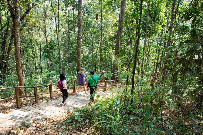 Doi Inthanon National Park Eco-Friendly Full Day Tour - Stop 4: Mae Klang Luang homestay and traditional coffee brewing