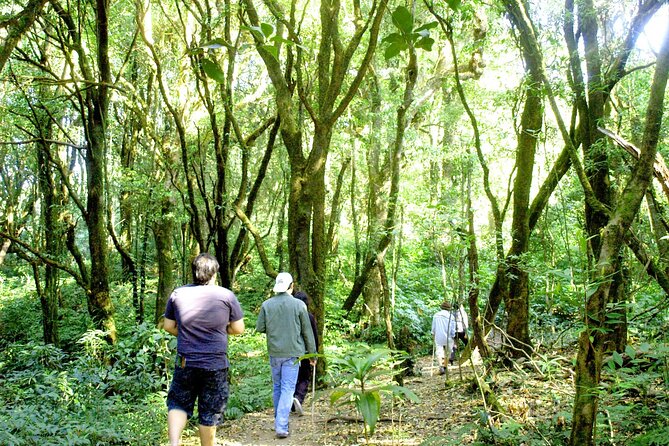 Doi Inthanon National Park, Waterfall & Royal Project Day Tour From Chiang Mai - The morning flow from Chiang Mai, and why the timing feels smoother than you expect