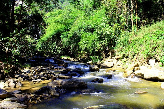 Doi Inthanon National Park, Waterfall & Royal Project Day Tour From Chiang Mai - Wachirathan Falls: big water, cool mist, and a strong photo payoff
