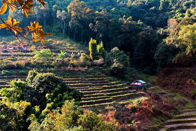 Doi Inthanon National Park, Waterfall & Royal Project Day Tour From Chiang Mai - King and Queen pagodas at Doi Inthanon: views, symbolism, and a dress code you should take seriously