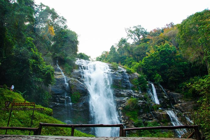Doi Inthanon National Park with Nature Trail Trekking 1-Day Tour - The summit walk to Thailand’s highest peak