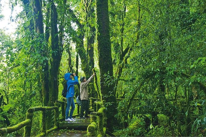 Doi Inthanon Waterfall and Royal Project Chiang Mai - Price and logistics: Is $50.10 worth it?