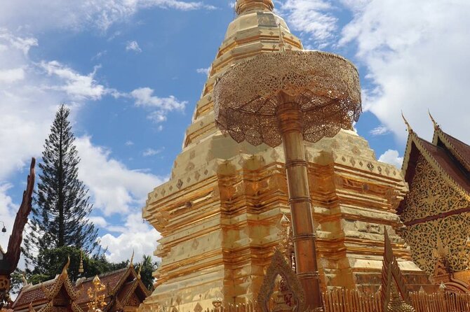 Doi Suthep Temple, Pha Lat Temple, Sticky Waterfall, Orchid farm - Orchid and Butterfly Farm: a scenic reset before the waterfall