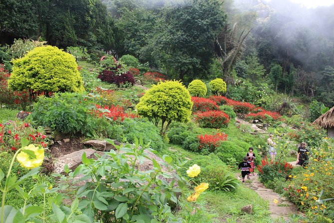 DON'T miss It ! Doi suthep temple+ Hmong village - Price and value: why $22.75 can work if you like this mix