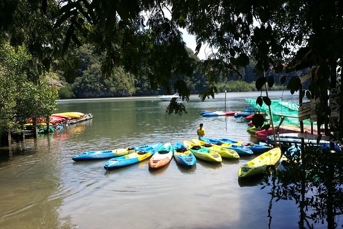 Early bird kayak adventure at AO Thalane - The Tide Factor: How Water Levels Change the Mangrove Route