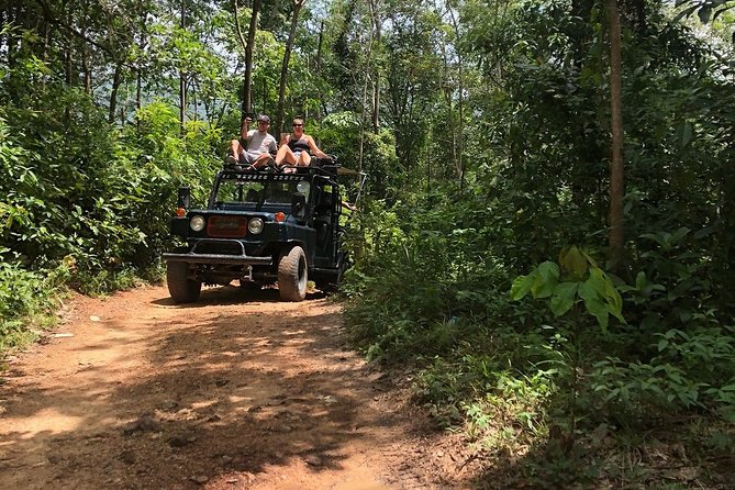 Eco Jungle Safari Tour around Koh Samui Including Lunch - Lunch on a Mountaintop: Why This Included Meal Matters