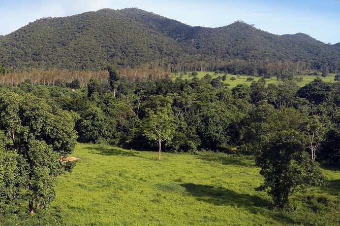 Elephant and Animal Watching in Kuiburi National Park - Join Afternoon Tour - Dinner near the park: included, local, and easy on your schedule