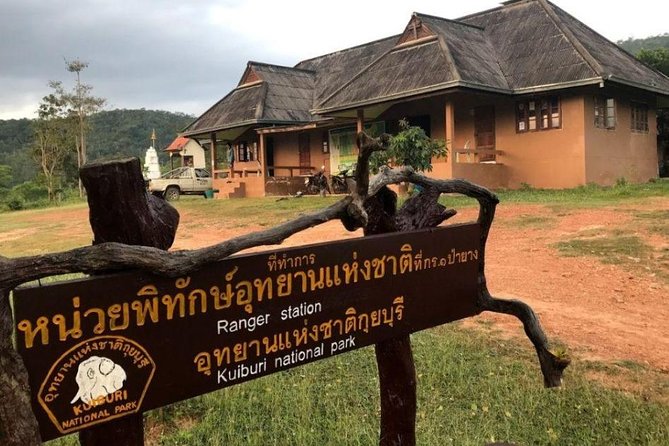 Elephant and Wildlife Watching in Kuiburi National Park - Private Afternoon Tour - Wildlife drive in Kuiburi National Park, from elephants to gaur