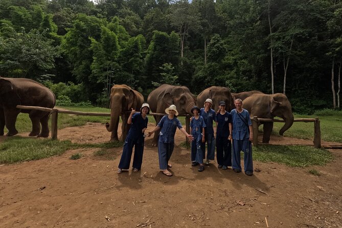 Elephant care program at CHIANGMAI ELEPHANT CARE - Group size and guides, why the vibe is calmer