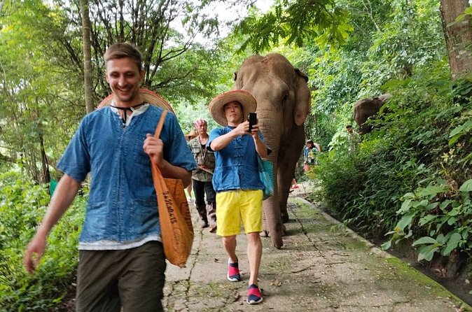 Elephant Experience and Hidden Jungle Waterfall Chiang Mai - Mae Taeng waterfall: swim, rock slides, and the real-world feel