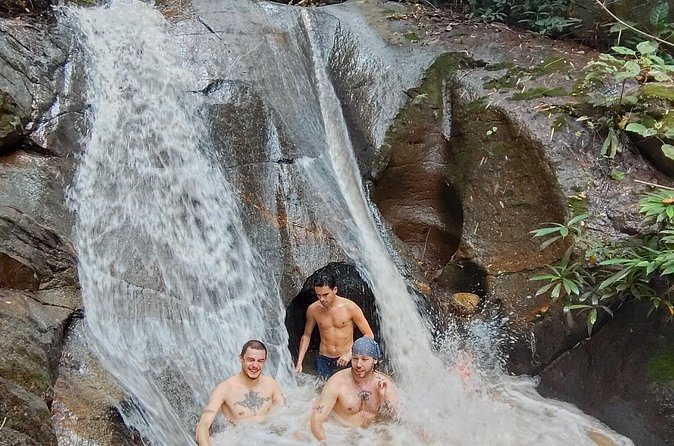 Elephant Experience and Hidden Jungle Waterfall Chiang Mai - Thai lunch or dinner: included fuel, plus what to expect