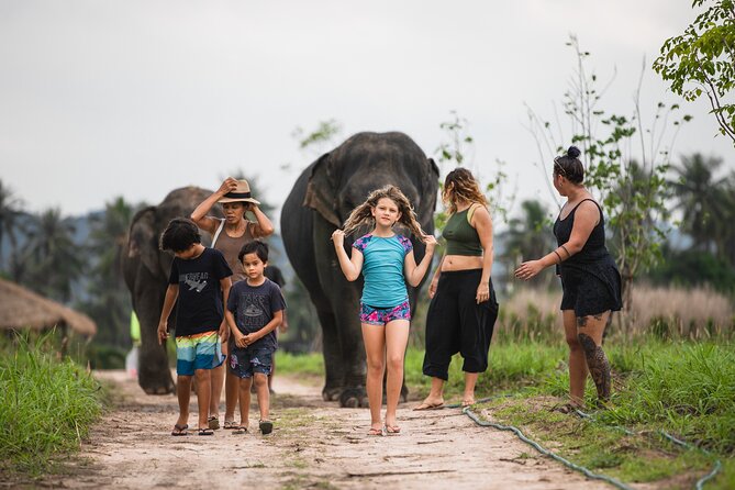 Elephant Jungle Sanctuary: Half Day Morning Program - Feeding, mud baths, and the big hands-on highlight