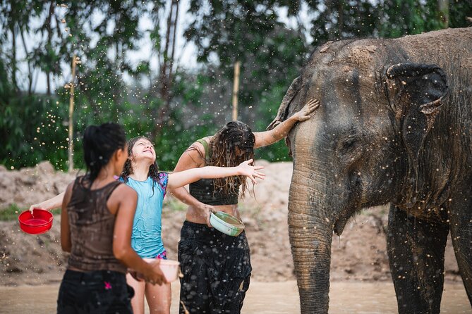 Elephant Jungle Sanctuary: Half Day Morning Program - Price and value: what $94.53 buys you in the real world