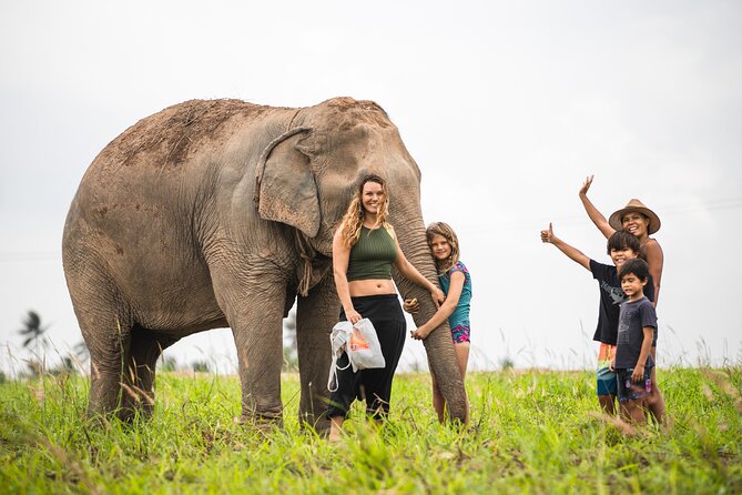 Elephant Jungle Sanctuary: Half Day Morning Program - What to bring (and what not to fight)