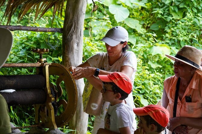 Elephant Nature Experience with Lunch at Bukit Elephant Park - A Phuket elephant tour with rules that actually matter
