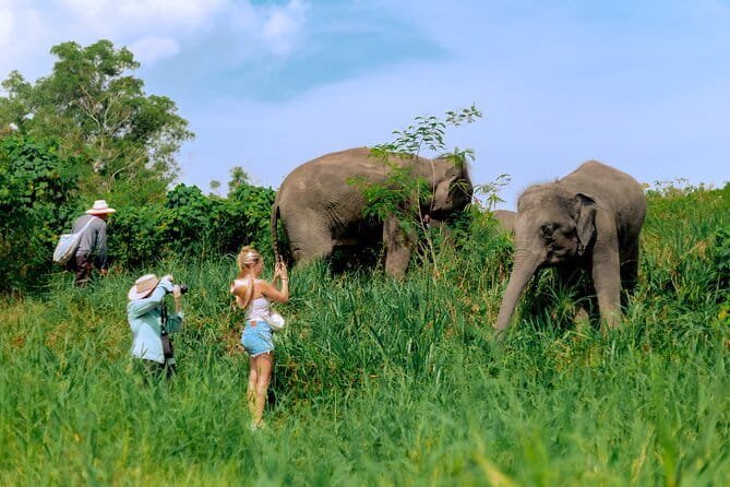 Elephant Nature Experience with Lunch at Bukit Elephant Park - Elephant watching first, then safe feeding behind the fence