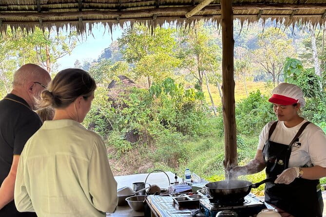Elephant Nature Experience with Lunch at Bukit Elephant Park - Safety, welfare, and what this tour refuses to do