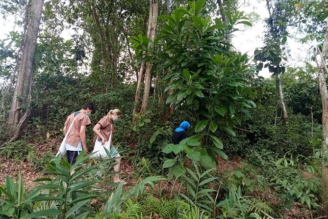 Elephant Sanctuary Small Group Tour in Phuket - Quick highlights