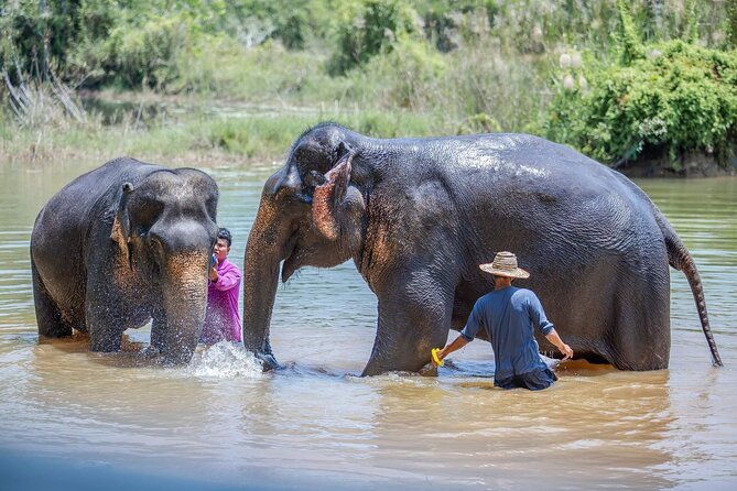 Elephant Sanctuary Small Group Tour in Phuket - Price and value: why $97.83 can make sense in Phuket