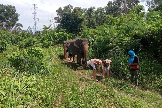 Elephant Sanctuary Small Group Tour in Phuket - Guides, care teams, and why the vibe matters