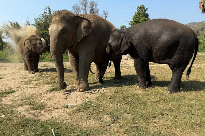 Elephant Sanctuary, Wat Ban Den & Sticky Waterfall - Wat Ban Den: Lanna Temple Details That Make Time Disappear