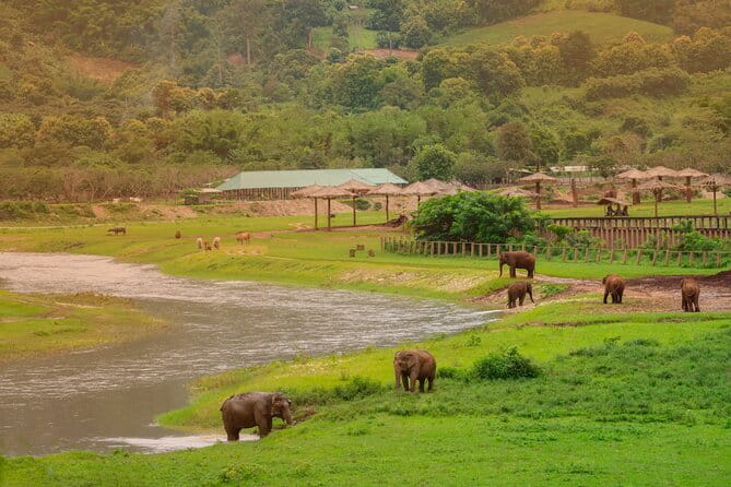 Elephant Sanctuary + Waterfall + Bamboo Rafting One Day Trip - Mae Wang, Chiang Mai: a full-day mix that actually makes sense