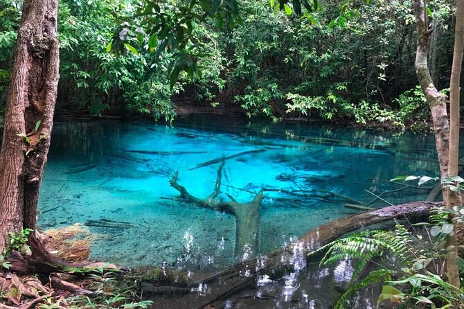 Emerald Pool: Jungle Tour, Private Full Day with Lunch - Wareerak Hot Spring and wellness spa: quiet soak time between sights