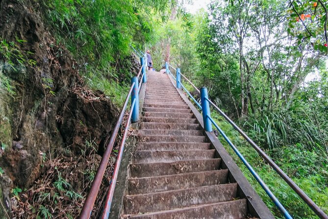 Emerald Pool: Jungle Tour, Private Full Day with Lunch - How lunch and pacing fit into a 6 to 7 hour private day